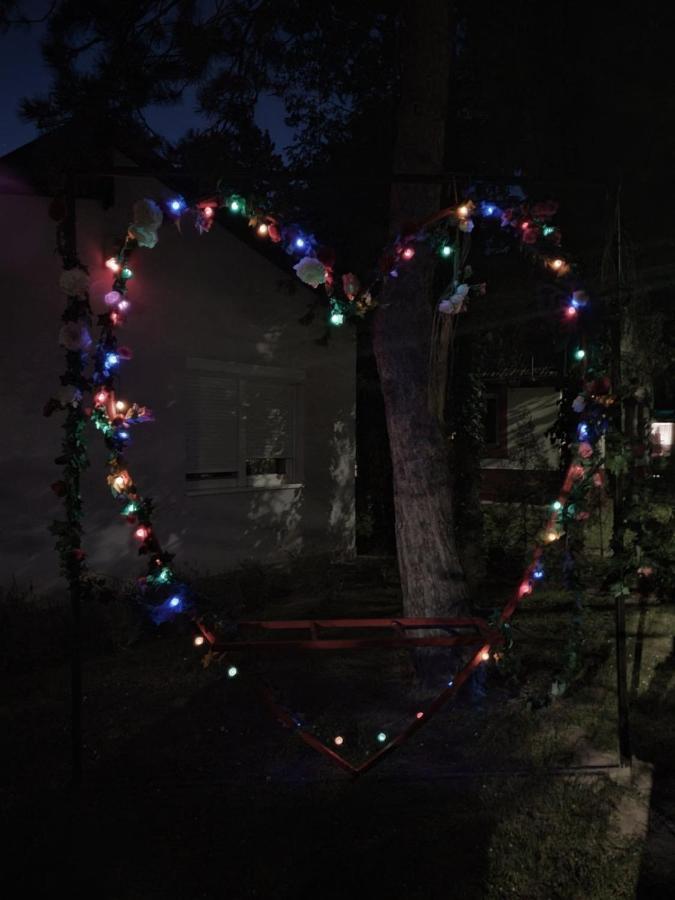 Palicka Oaza 155 * Palić